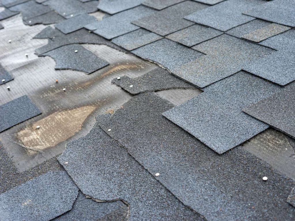 Damaged roof shingles